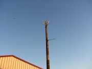 Link Yagi