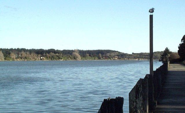 Whanganui River near the river mouth