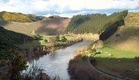 The river up stream from Wanganui